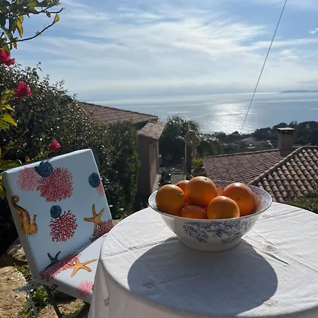 Vue Epoustouflante Sur La Homestay *
