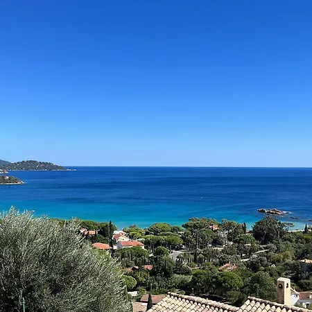 Vue Epoustouflante Sur La Le Lavandou